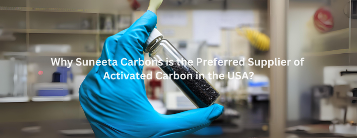 Activated carbon suppliers in USA